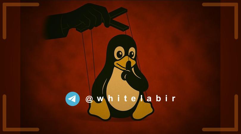 ⚠️ کشف بدافزار جدید "Plague" بر پایه PAM برای لینوکس ...