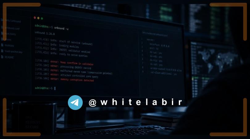 🚨 آسیب‌پذیری‌های بحرانی در Unbound DNS resolver ...